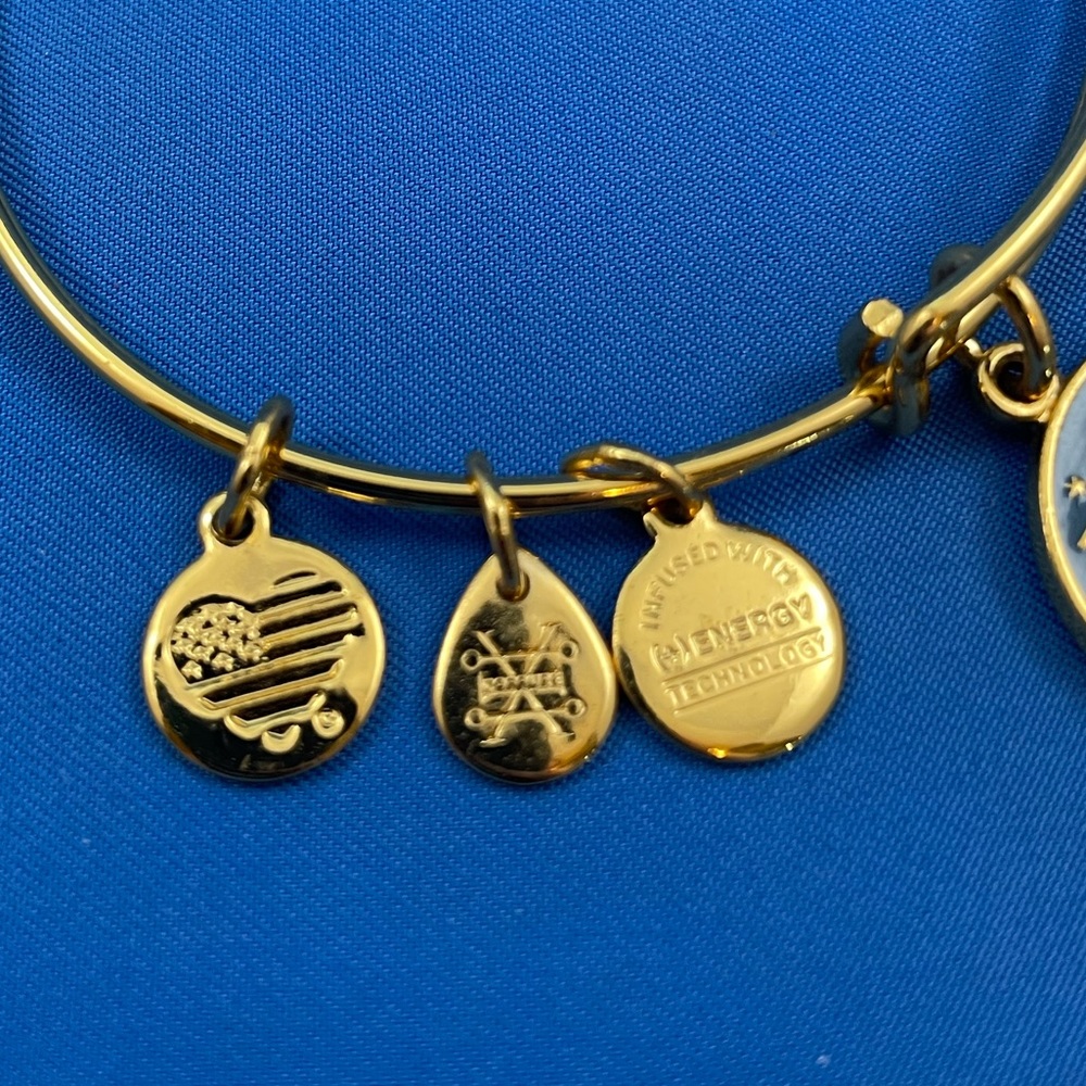 Alex and Ani Harry Potter ‘Dobby is Free’ shiny gold finish bangle bracelet - Picture 2 of 6